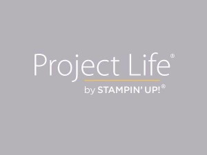 project life